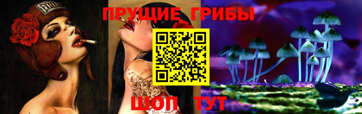 Псилоцибиновые грибы прущие грибы  Галлюциногенные грибы прущие грибы  Вход с VPN  Электрогорск 
